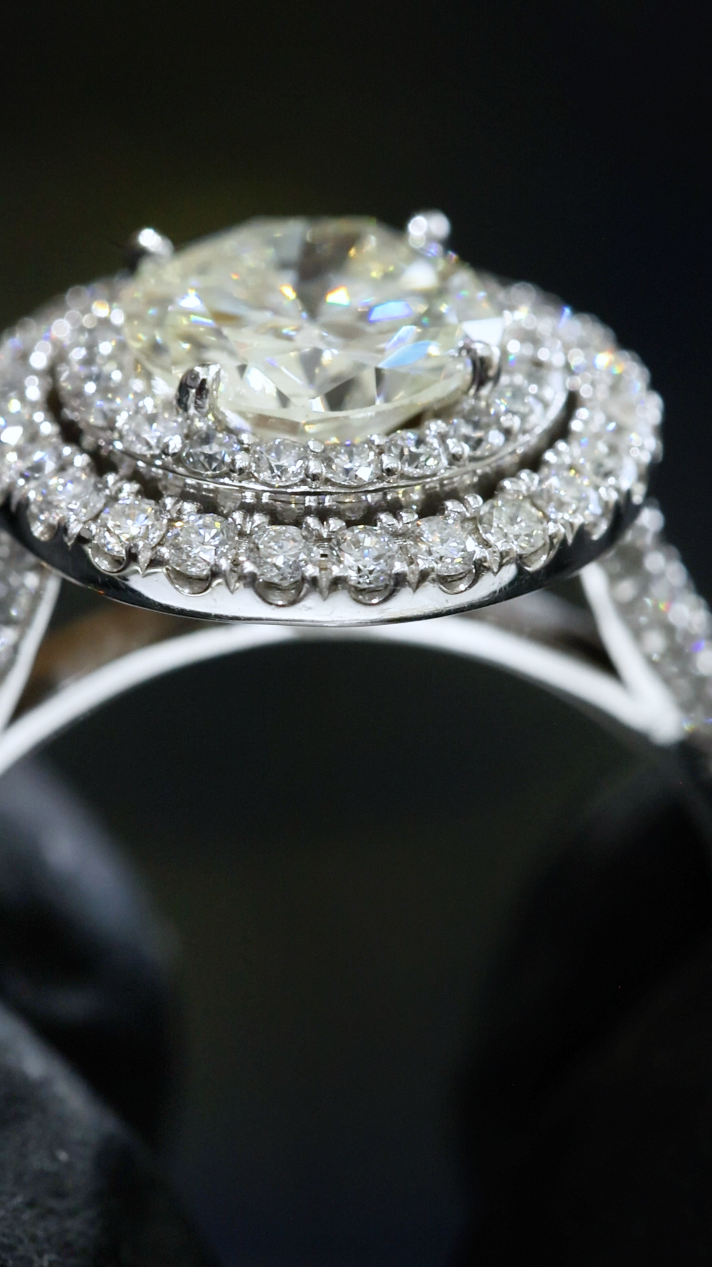 GIA Certified Natural Round Diamond Halo Engagement Ring with Pavé Band in White Gold | Classic Double Halo Design
